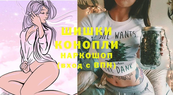 крисы Киренск