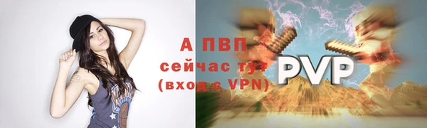 крисы Киренск
