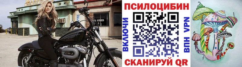 Галлюциногенные грибы мухоморы  Купить закладки  Губкин 